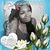 Samatha Bozeman's profile image