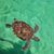 Renee Crawford Batalini's profile image
