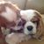 Linda Medrano's profile image