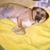 Rhonda Lee Ernest's profile image