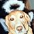 Susan Nowicki's profile image