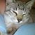 Faith Lorenzo Kline's profile image