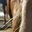 Una Schade's profile image