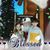Kathy Williams Mangieri's profile image