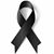Teresa Torres's profile image