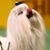 Estela Semeco's profile image