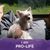 Robin Johnson's profile image