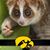 Kim Noble's profile image