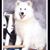 Eileen Laut's profile image