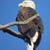 Barbara Flatt's profile image