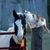 Amy Barensfeld's profile image