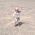 Eric Martin's profile image