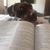 Susan Wragg's profile image