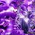 Jana Musial's profile image