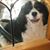 Margaret Harte's profile image