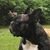 Susan Ramcke's profile image