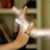 Robin Hebert Roggi's profile image