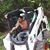 Robert Cobern's profile image