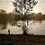 Dana King-VanConant's profile image