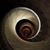 Tim Hinds's profile image