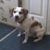 Catherine Humphrey Devinney's profile image