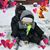 Kim Shaughnessy Johnson's profile image