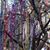 Karen Kinberger Pelt's profile image