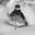 Dave Amirault's profile image