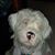 Lynn Spuler's profile image
