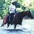 Kathie Donahue Duggan's profile image