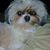 Vanessa Pierson Vanderhoof's profile image