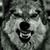 David Scroggins's profile image