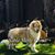 Melissa Gallip's profile image