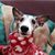 Denise Cardwell's profile image