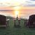 Mary Ellen Wilson's profile image