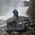 Diane Kaus's profile image