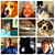 Mark Whitecotton's profile image
