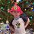 Gretchen DeBobes's profile image