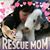 Kathy Szakacs's profile image