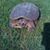 Shane Sandbothe's profile image