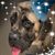 Leanna Voigt Cutler's profile image