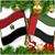 محمد الشوادفي's profile image