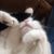 Darrell Botts's profile image