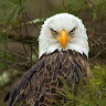 Luis P.'s profile image