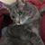 Vern Hueter's profile image