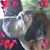 Rhonda Brougham Stevens's profile image