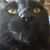 Chris Ballman's profile image