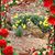 Christine Heitmeyer's profile image