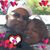 Chandra Flemister Arceneaux's profile image