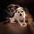 Heather Lawson Mathews's profile image